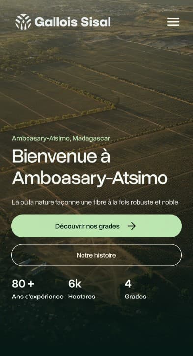 Mobile hero of the home page: the logo and a menu button, the title “Bienvenue à Amboasary-Atsimo”, a short line, two stacked buttons and the three company figures in a row.